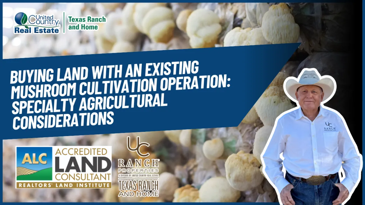 Buying Land With an Existing Mushroom Cultivation Operation: Specialty Agricultural Considerations