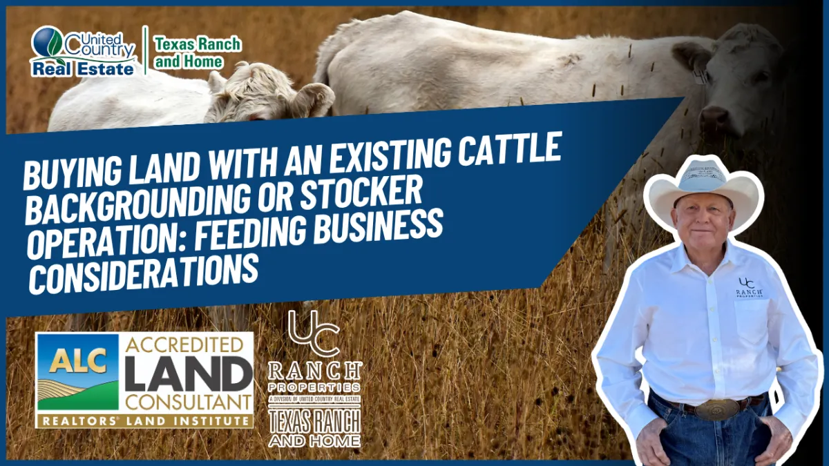 Buying Land With an Existing Cattle Backgrounding or Stocker Operation: Feeding Business Considerations