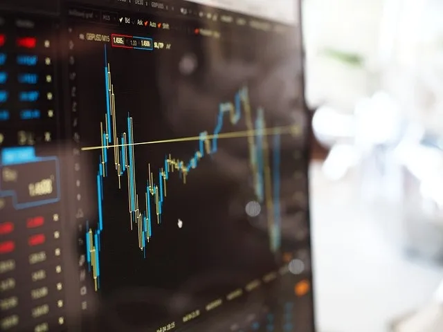 November 2024: A Stellar Month for Investors