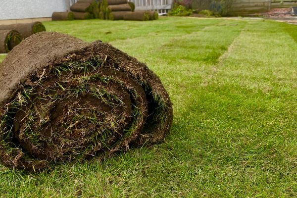 Turf Installation in 