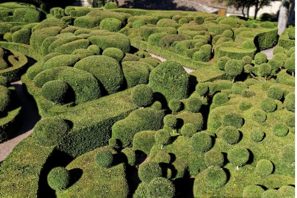 Turf Installation in 