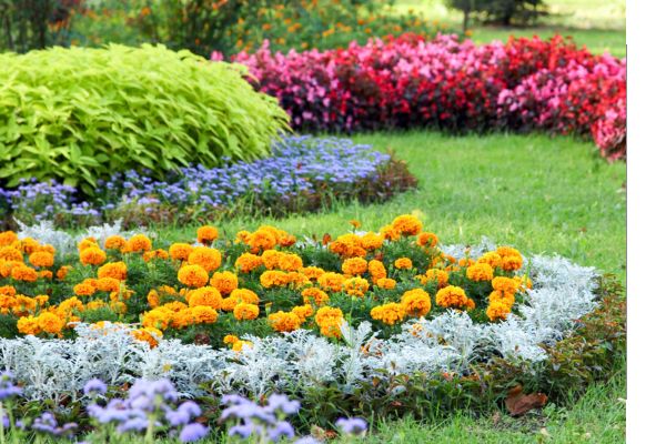 Paver Installation in 