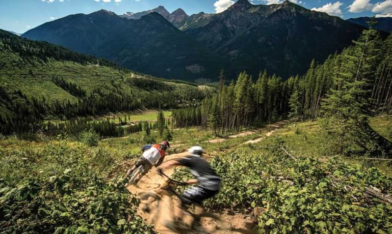 Panorama Daily Activities