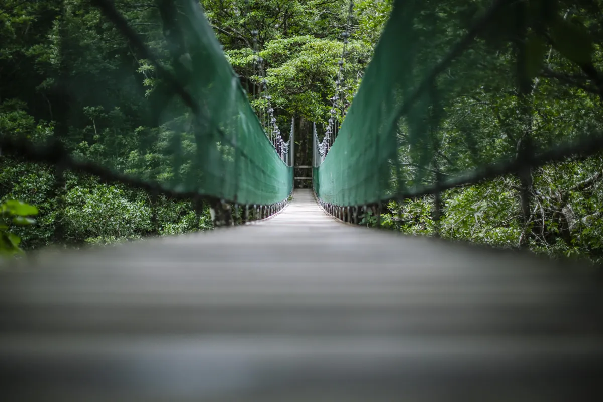 Costa Ria Hanging Bridge