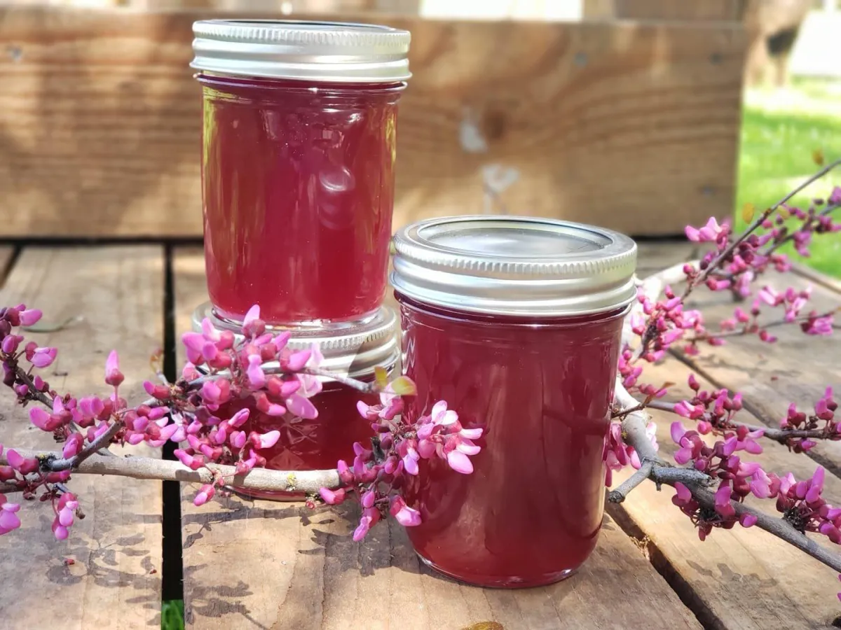 Can your own fresh redbud jelly.