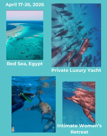 Image of Red Sea Luxury Retreat April 17-26 2026