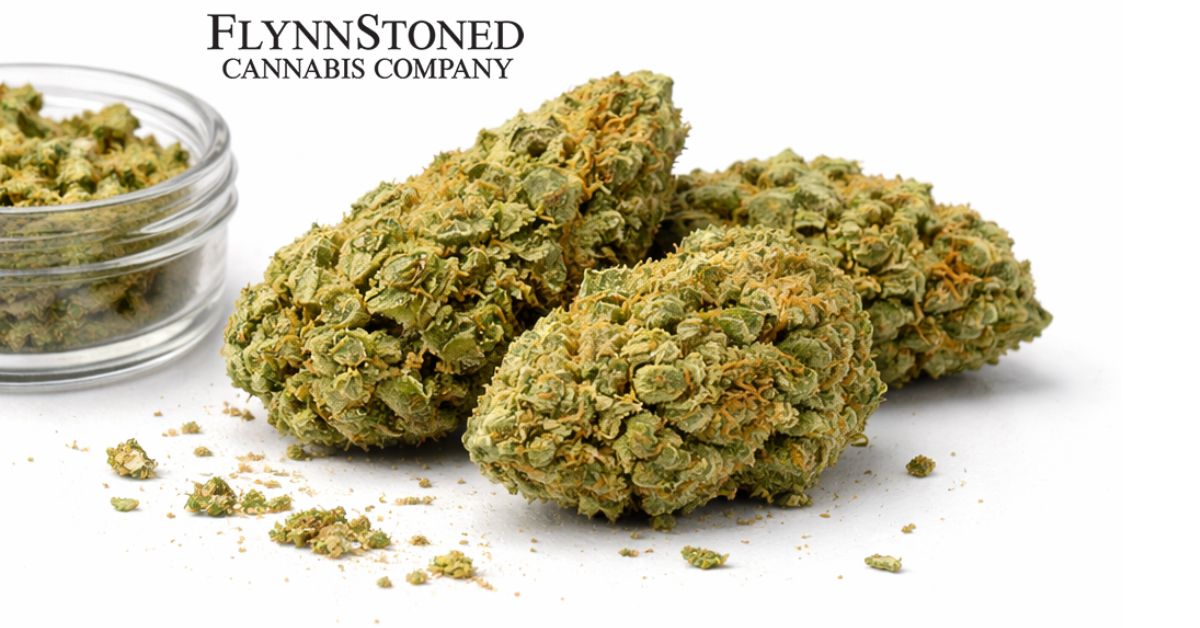 Best Cannabis Flower Strains to Know at FlynnStoned Binghamton 