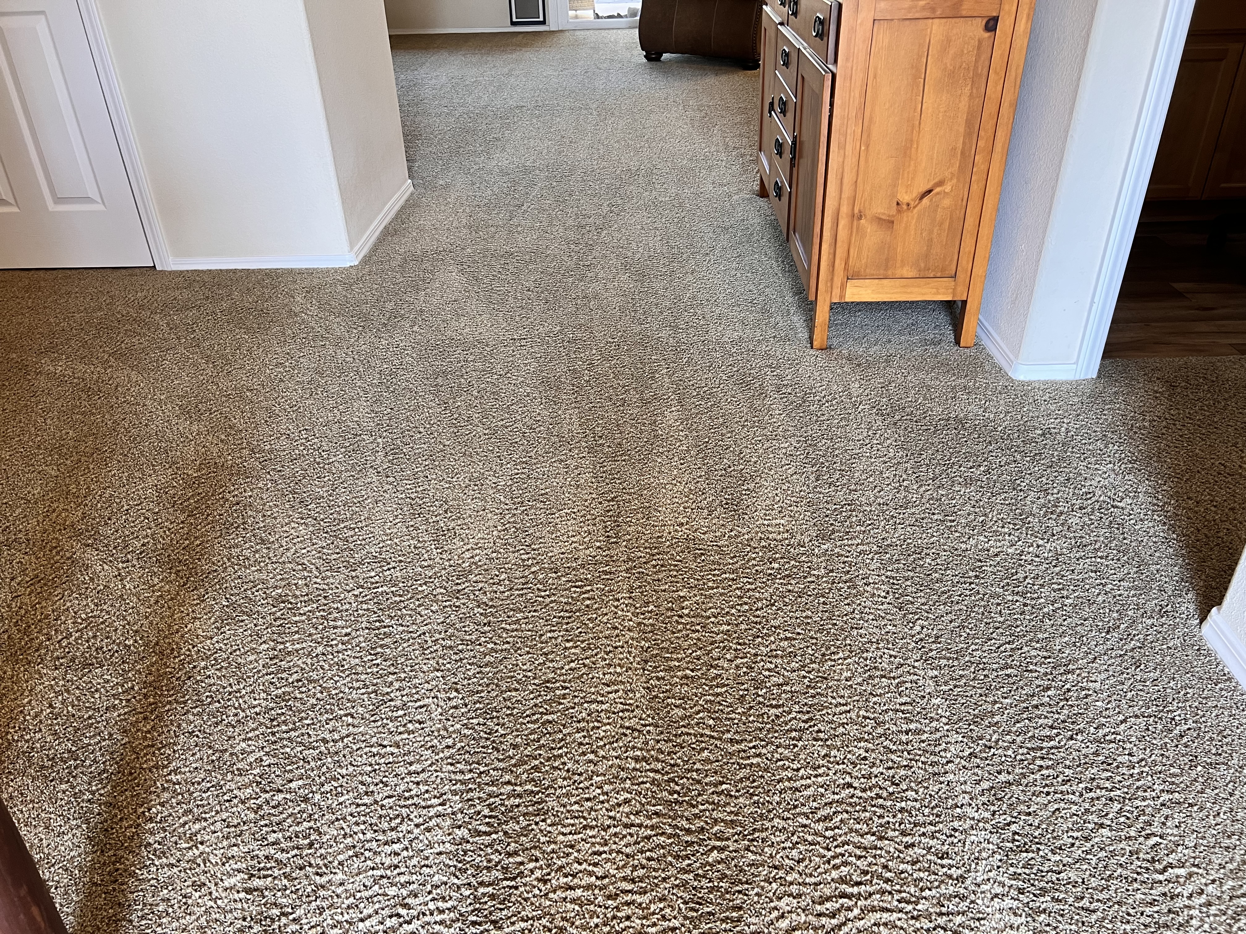 Carpet cleaning in Indianapolis