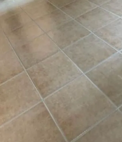 Tile cleaning in Indianapolis