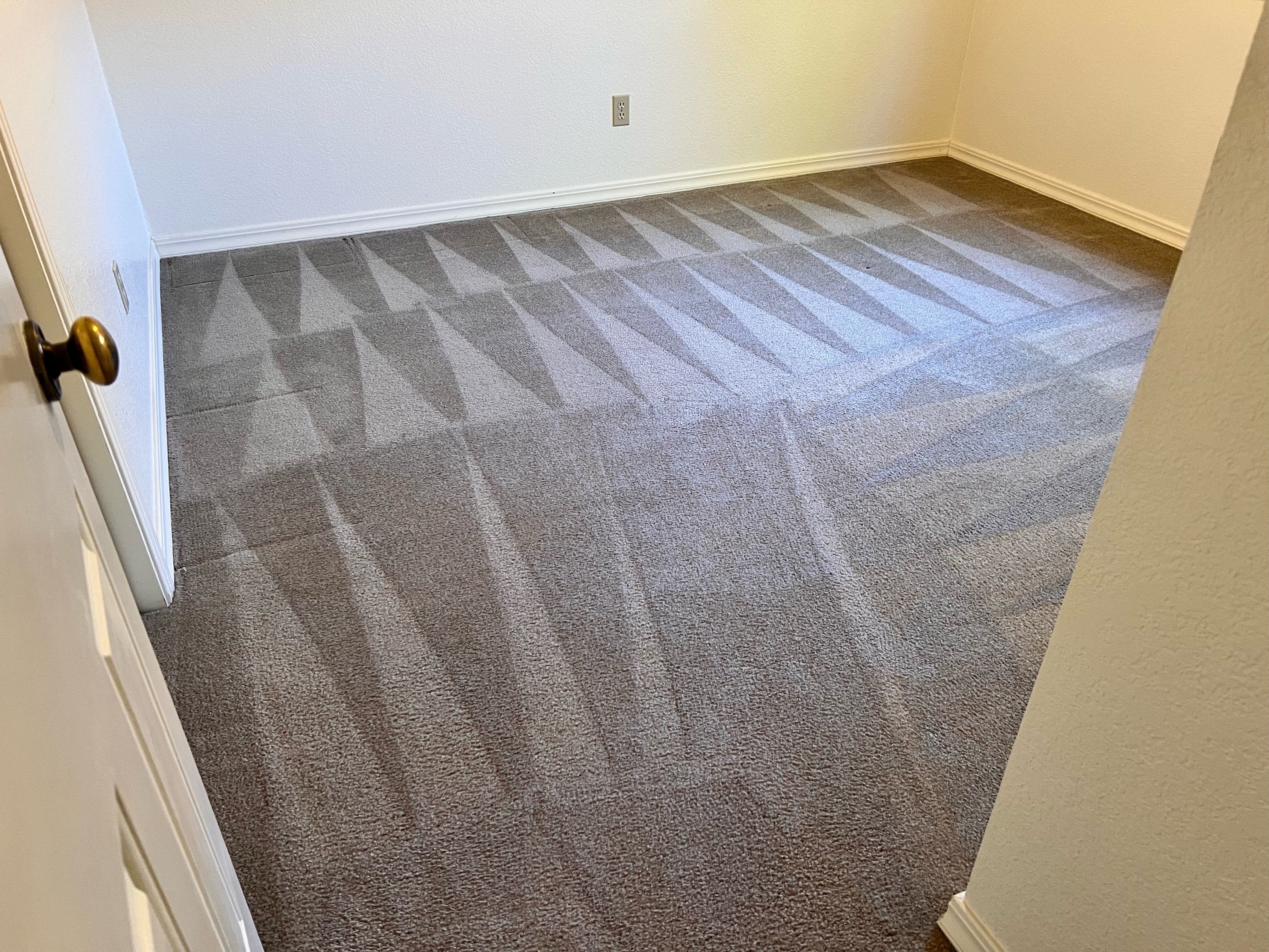 Carpet Cleaning in Indianapolis