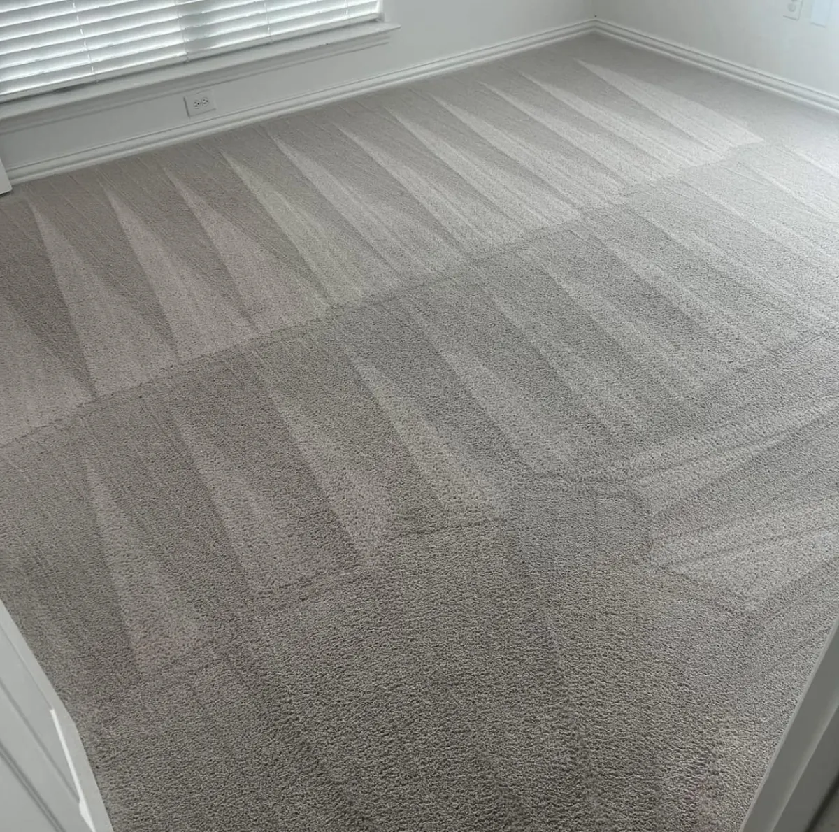 Carpet Cleaning In Indianapolis