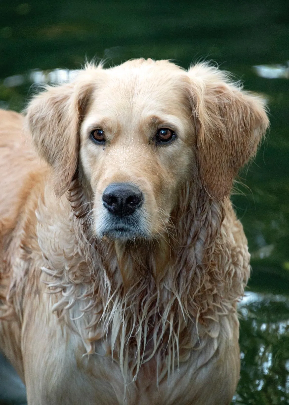 Eventphotography Nataly Dannenberg Photography