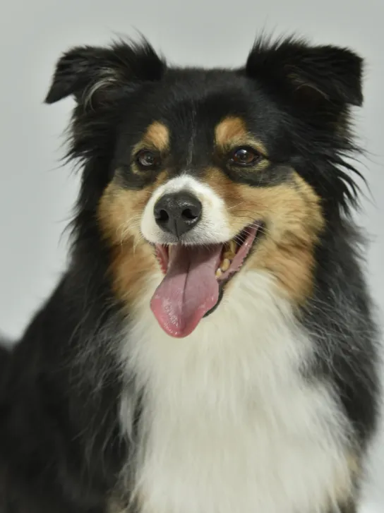 Familienportrait Nataly Dannenberg Photography