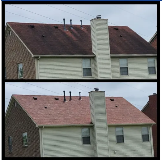 roof cleaning Lexington Kentucky