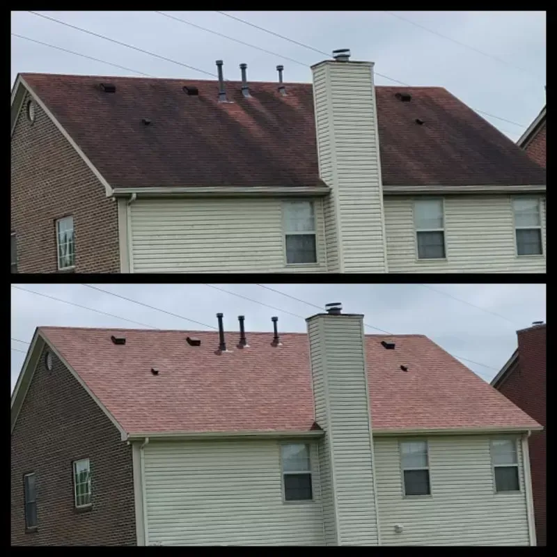 roof cleaning, Paris Kentucky