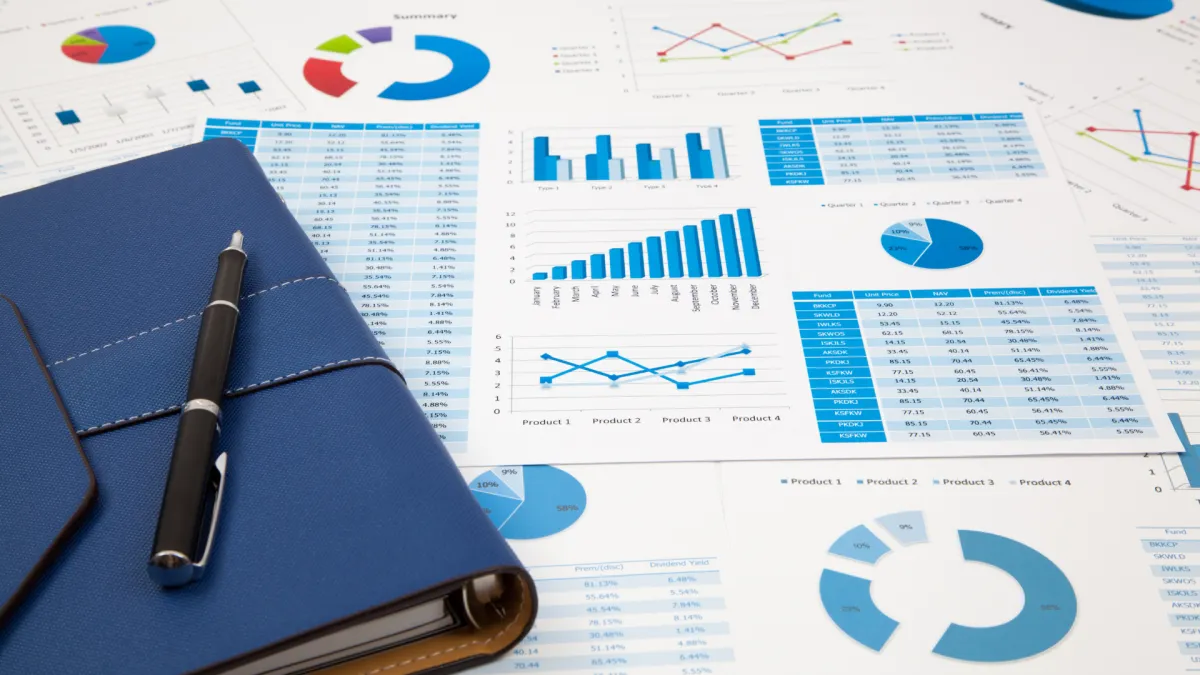 Vizualy Co LLC Virtual CFO Services