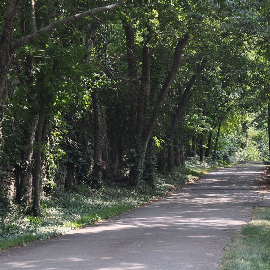 Forest Hills, TN Featured Image