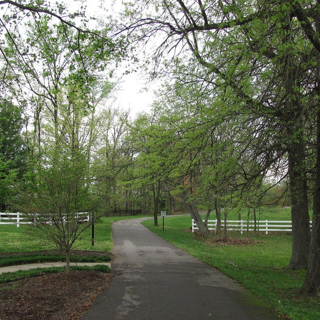 White House, TN Featured Image