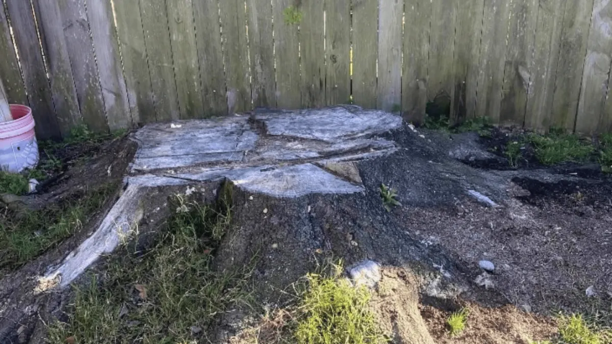 Residential Stump Grinding