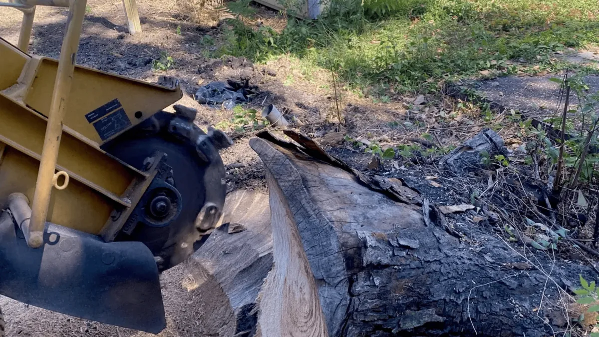 Stump Grinding