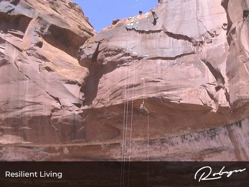 Resilient Life: The Art of Living Dangerously