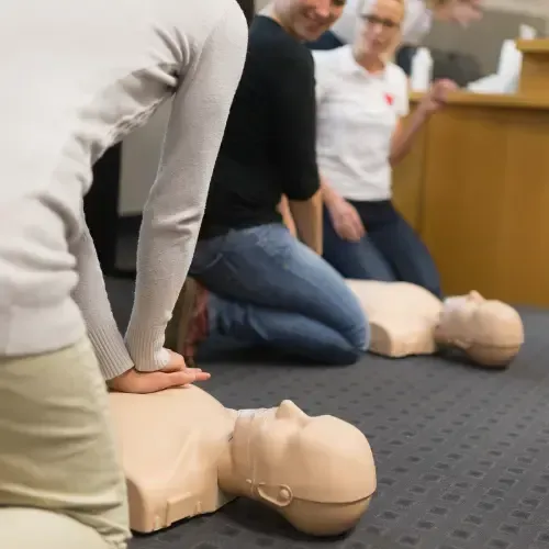 Group of students performing high quality chest compressions on CPR mannequins in a hands on skills session