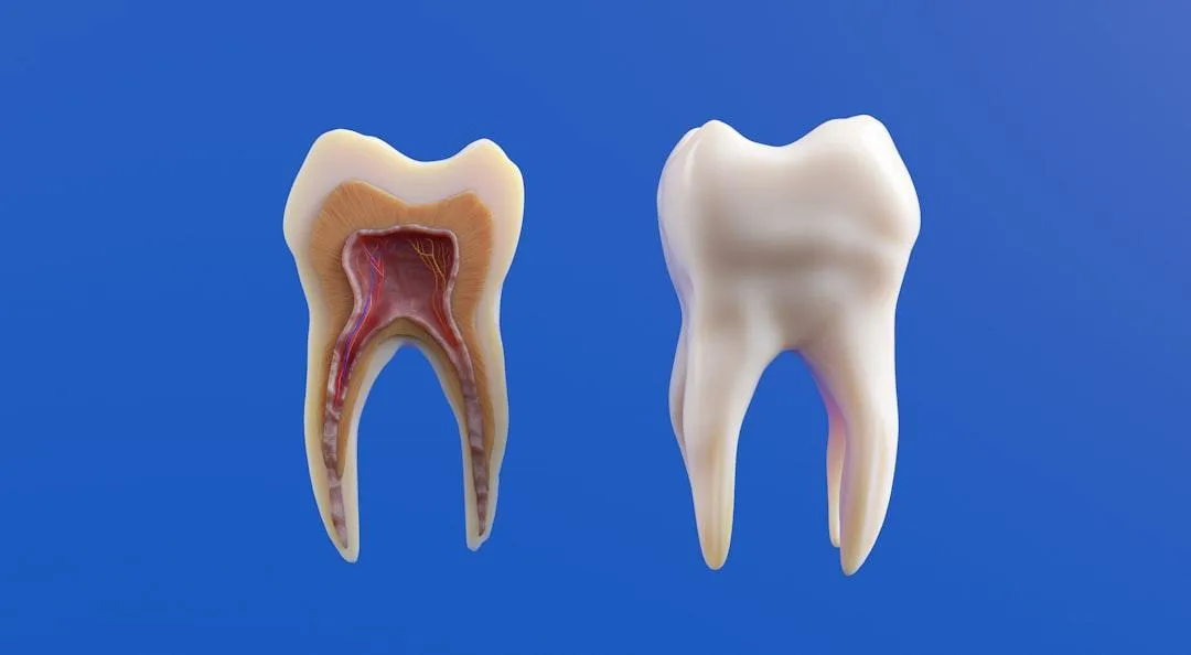 periodontal disease risk factors