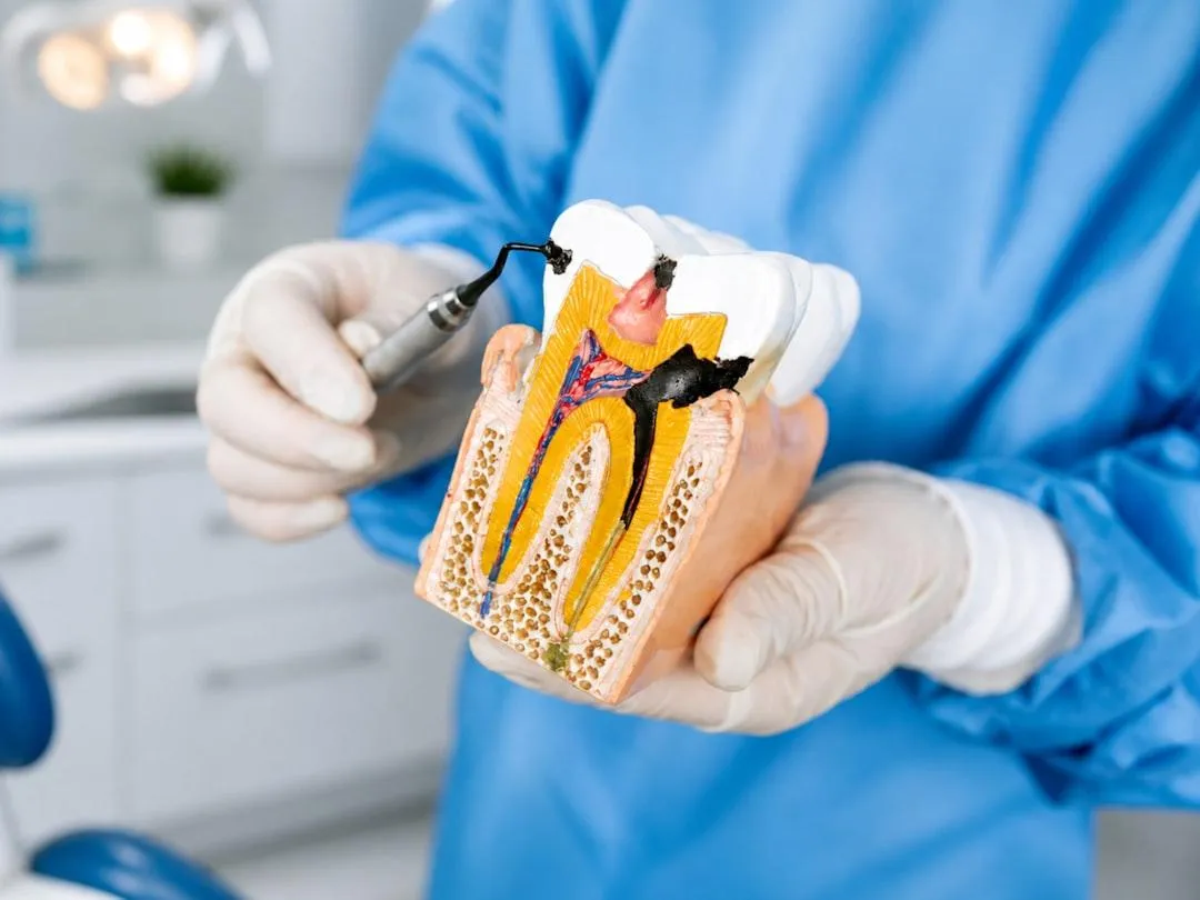 types of bone graft in dentistry