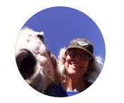 Sarah Jenkins, Founder of Apex Logistics