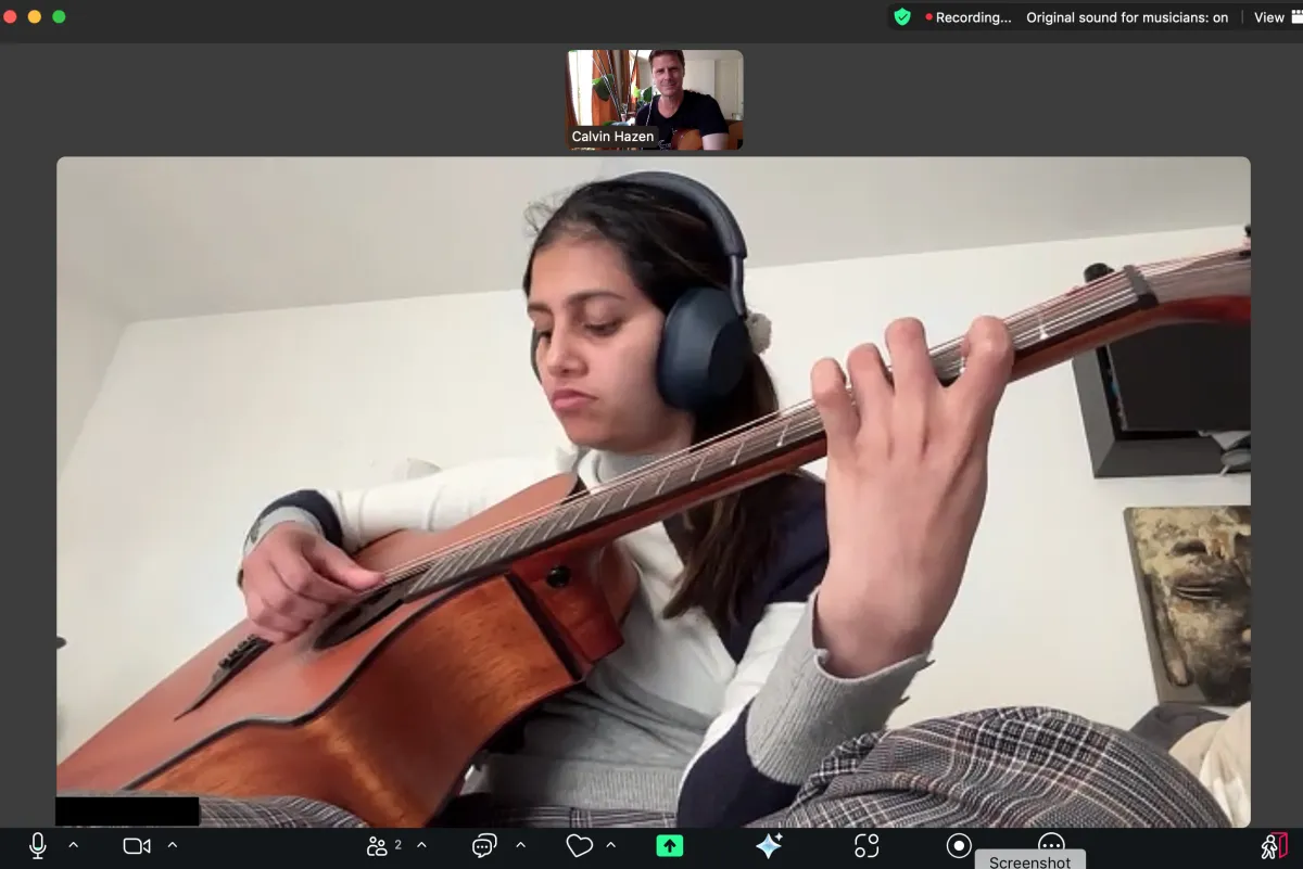 Flamenco Guitar Online Course