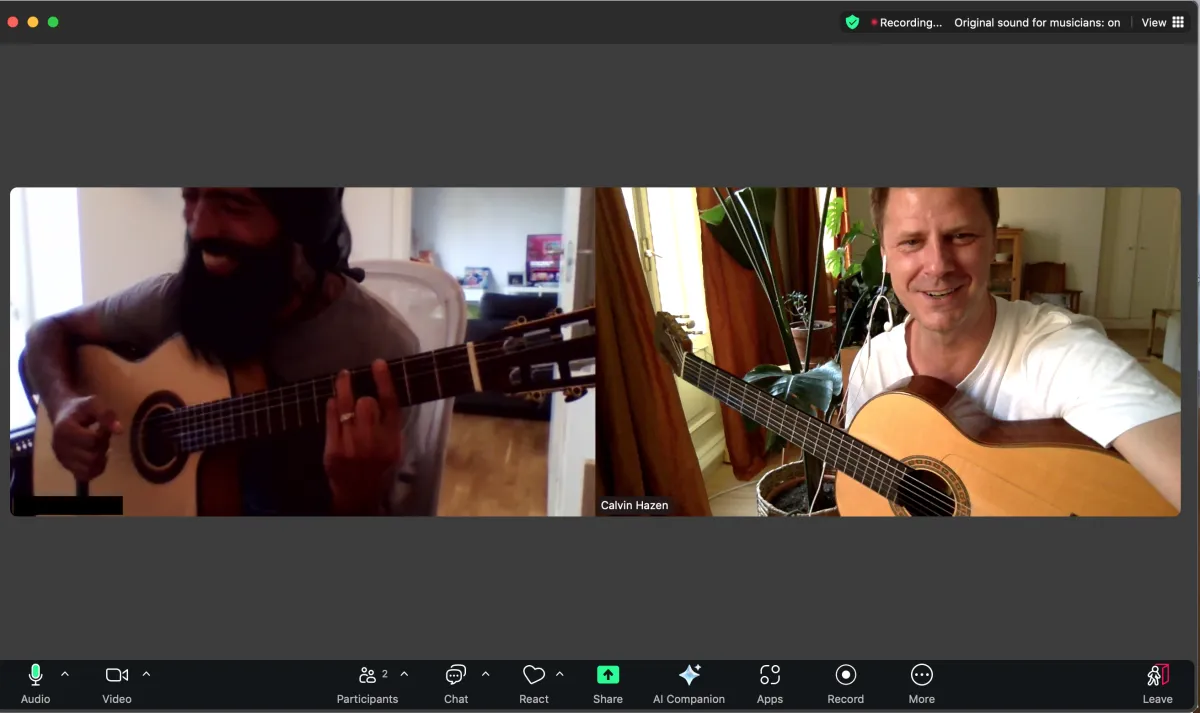 Learning Flamenco Guitar Online