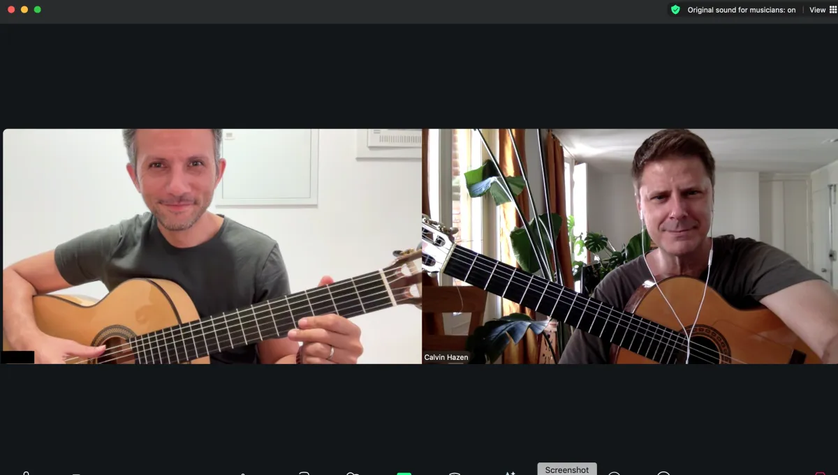 Intermediate & Advanced Flamenco Guitar Lessons Online