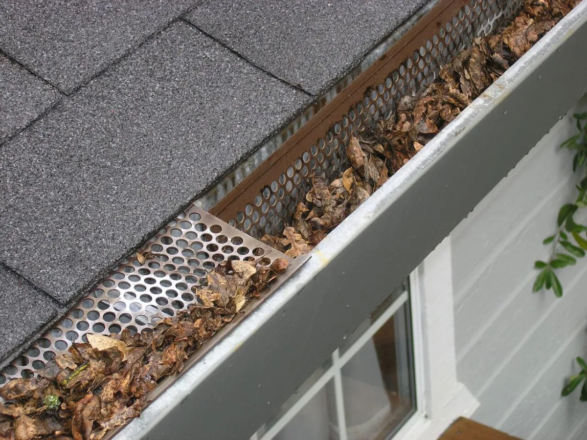 Gutter showing leaves and whirlybirds clogging the gutter system,