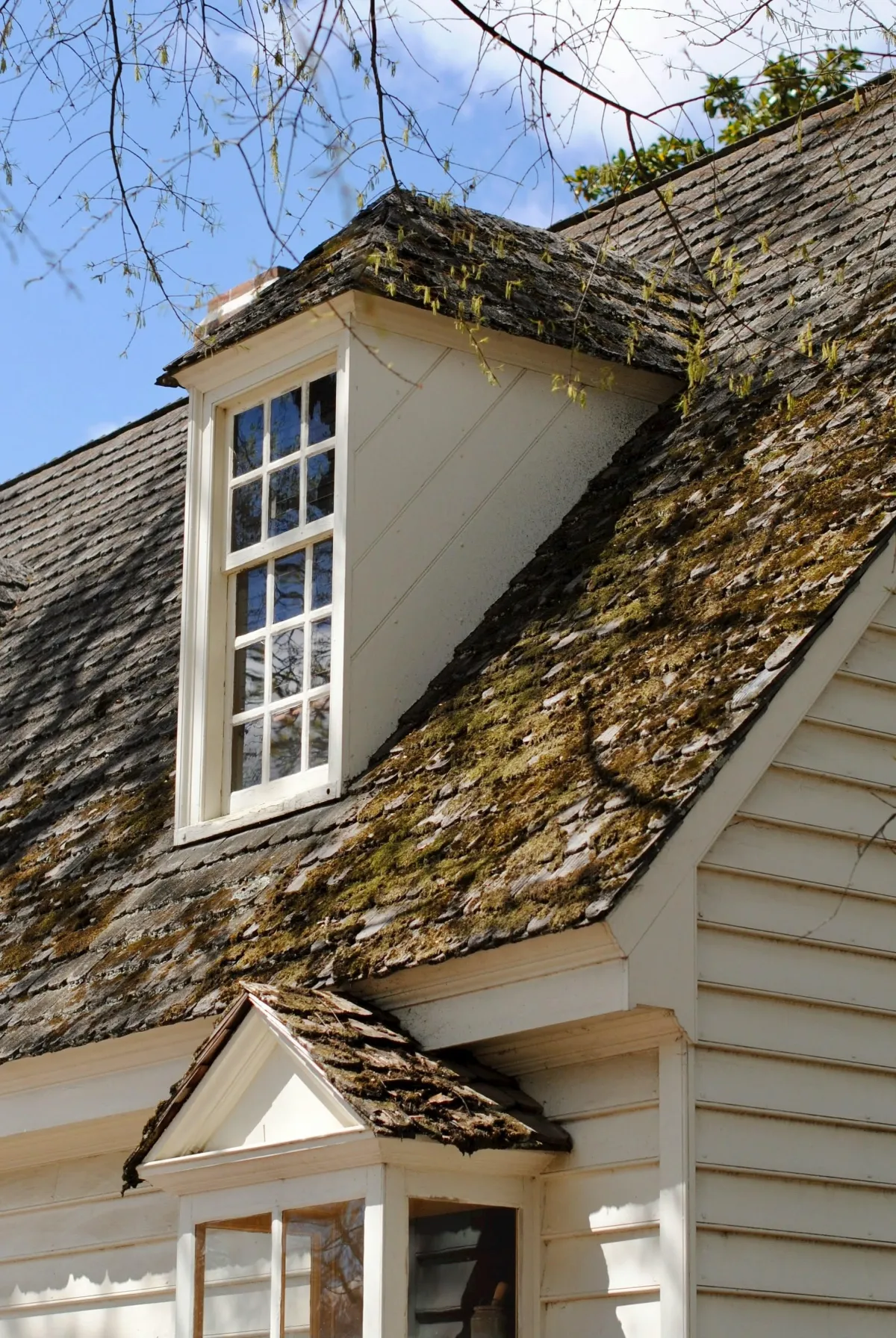 Roof showing moss buildup on a portion of roof