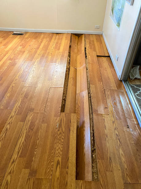 Paradise Valley Our Emergency Services