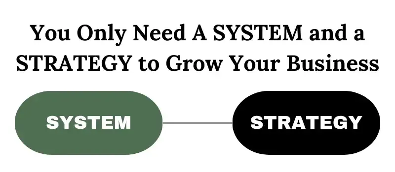 You Only Need a System and a Strategy to Grow & Manage Your Business