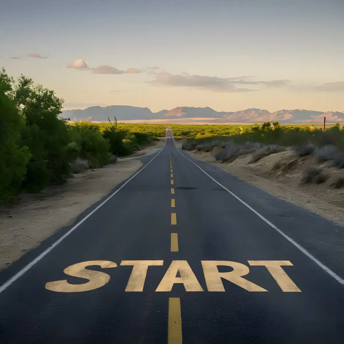 Starter Plan - Start Now!
