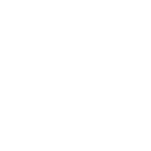 Vision