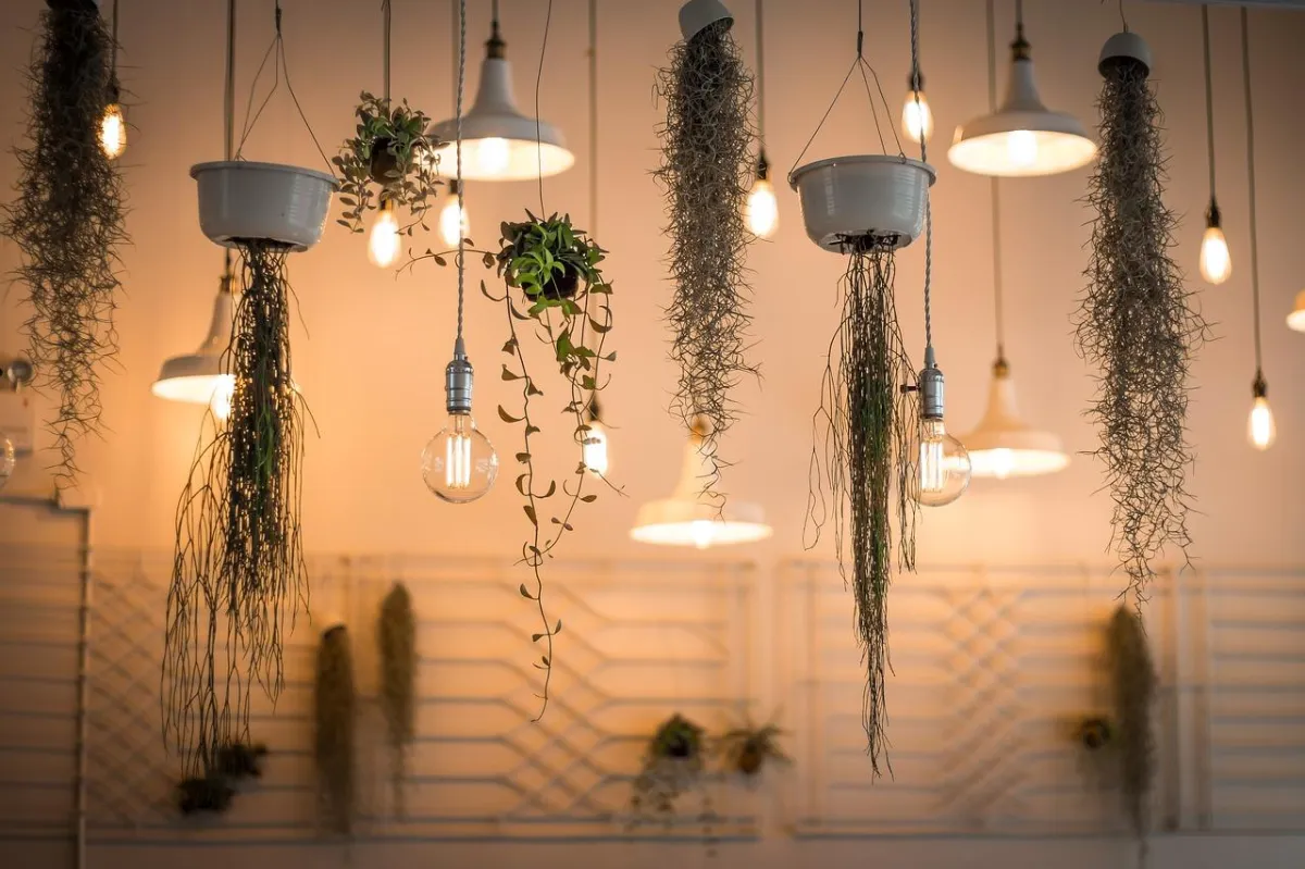 Light design and installation by Safe Spark Solutions