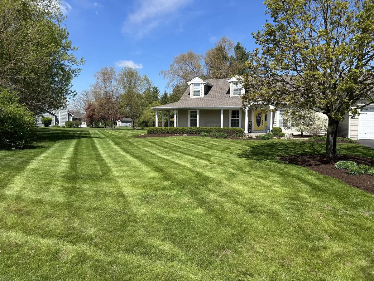 Fall & Spring Clean Ups in Woodstock