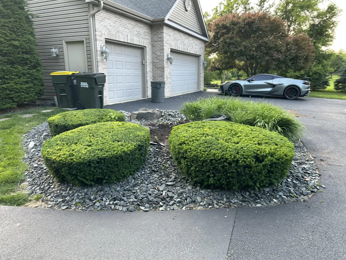 Fall & Spring Clean Ups in Woodstock