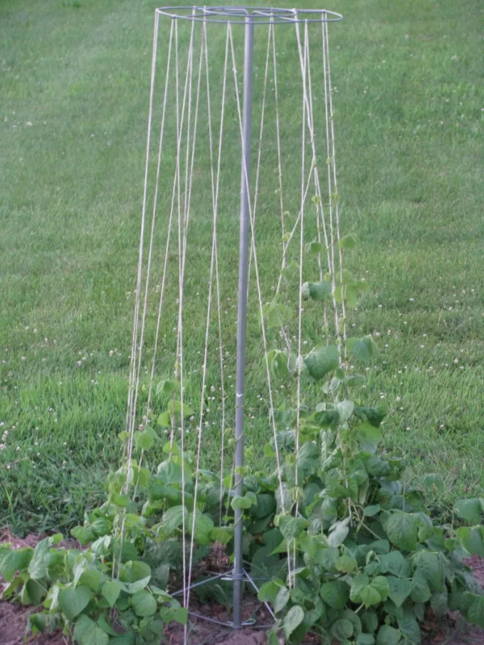 Bean Tower