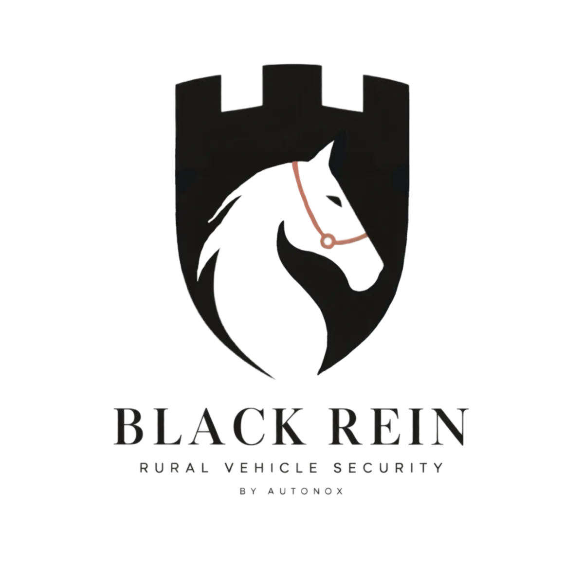 Black Rein Rural Tactical Security