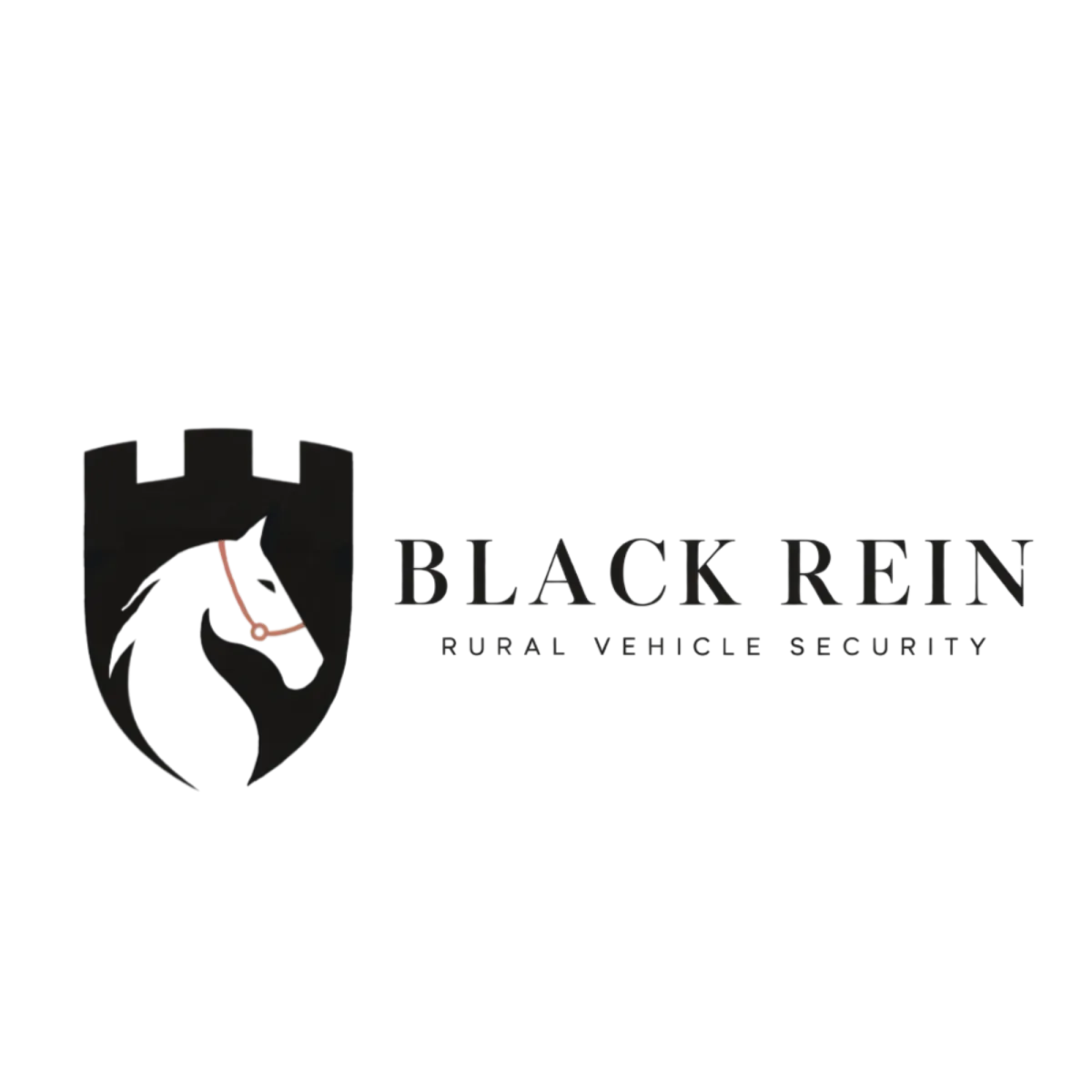 Black Rein Security Logo