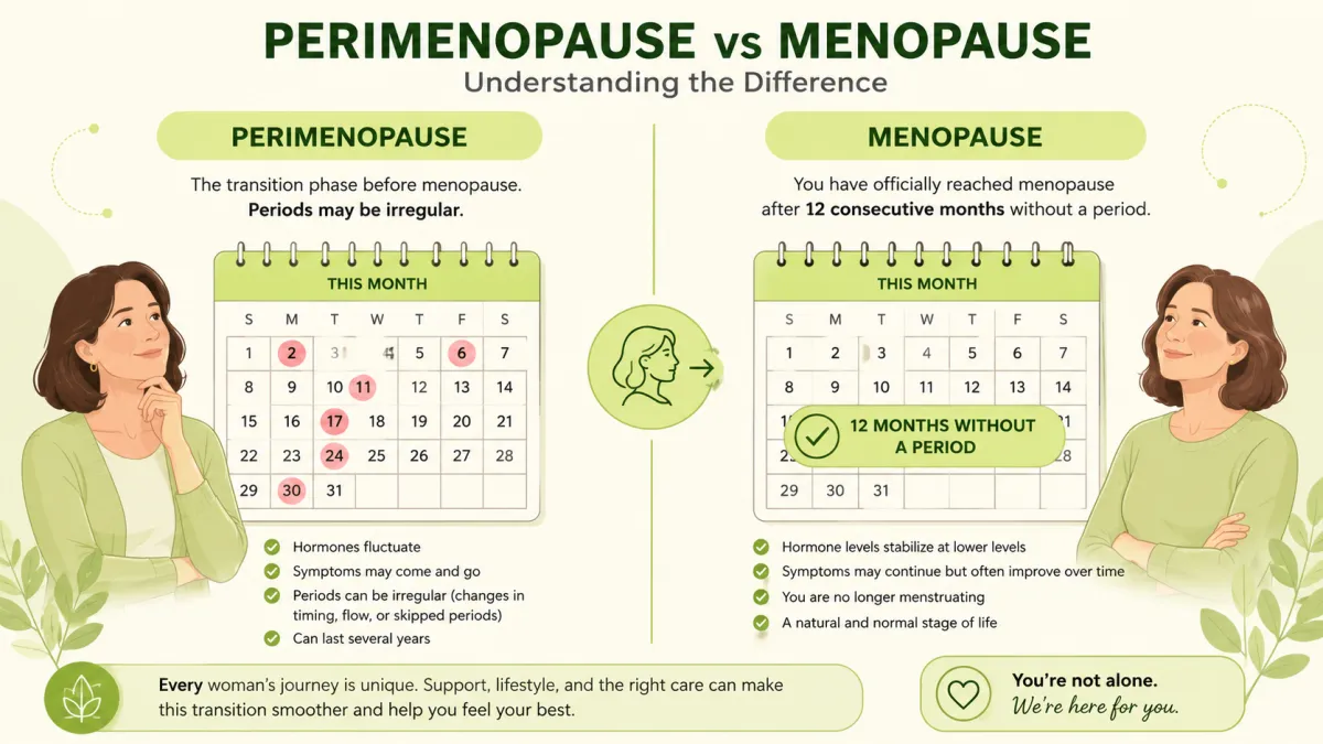 Illustration comparing perimenopause and menopause stages, with a timeline showing the transition from irregular periods to 12 months without a period.