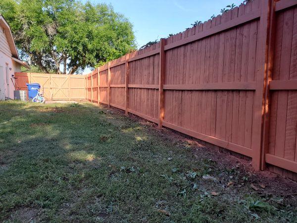 Fence Painting After