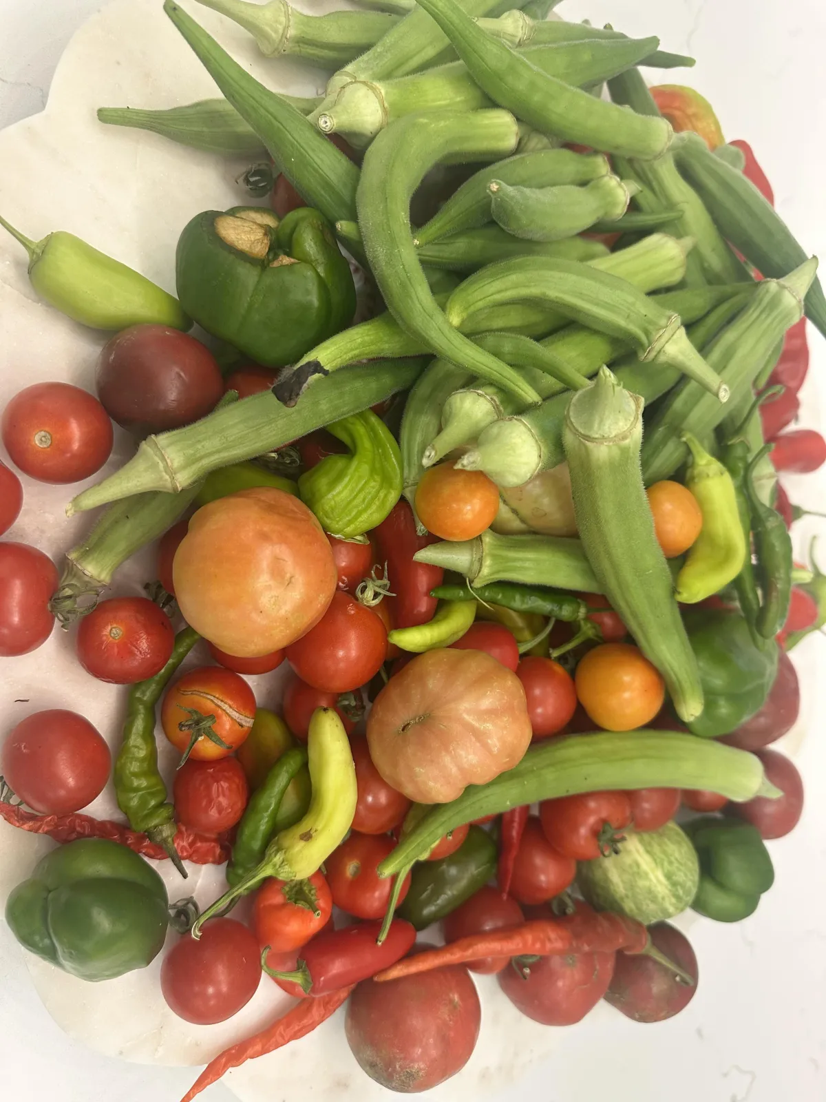 Fresh garden veggies 