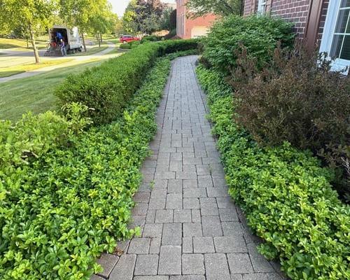 Lawn & Landscape Services Plymouth