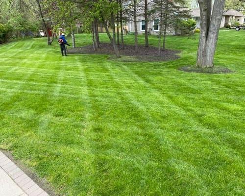 Plymouth Lawn Mowing