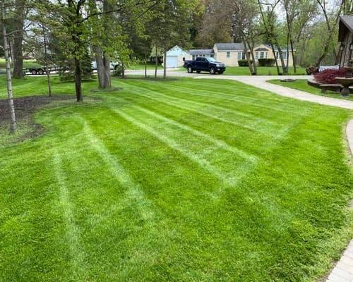 {{ custom_values.service_1 }} in {{custom_values.biz_area_1})